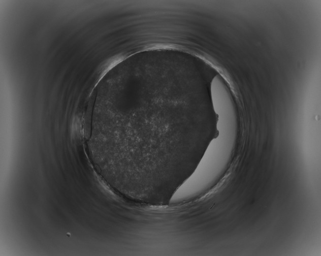 X0000083071377200703022147