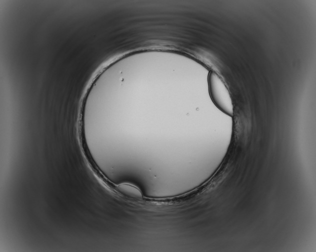 X0000083071379200703022147
