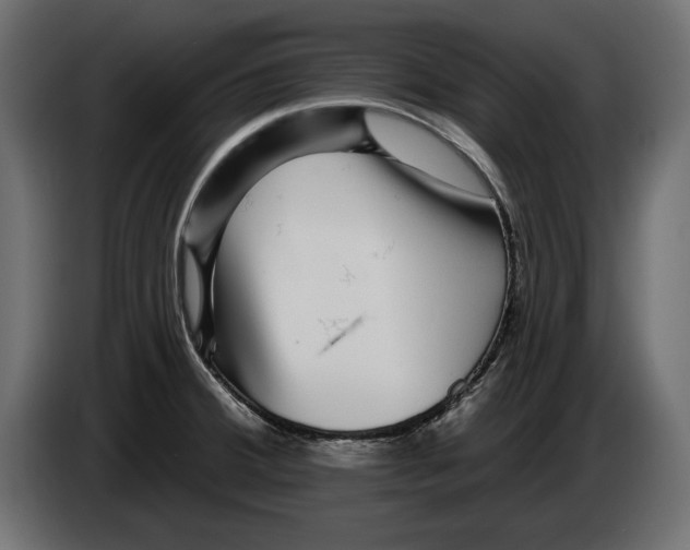 X0000083071380200703022147