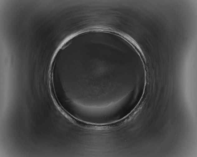 X0000083071381200703022147