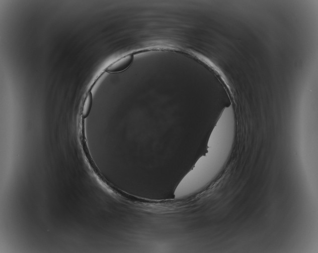 X0000083071383200703022147