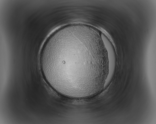 X0000083071384200703022147