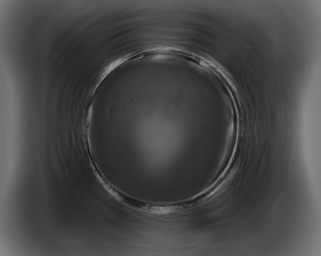 X0000083071385200703022147