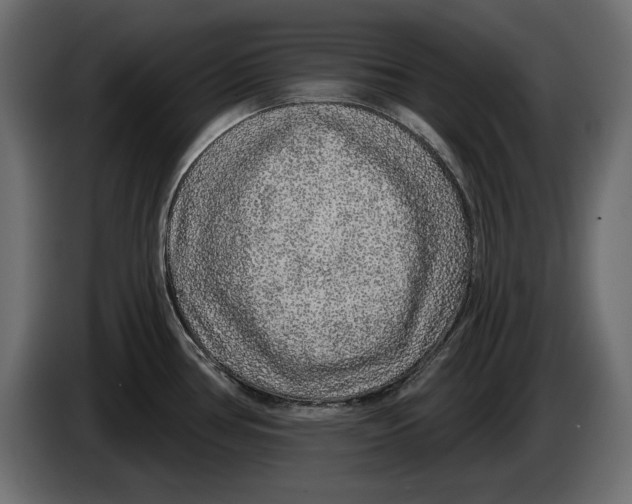 X0000083071386200703022147