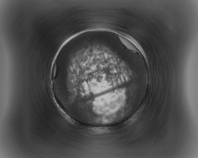 X0000083071388200703022147