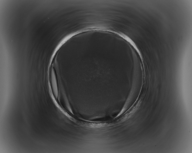 X0000083071389200703022147