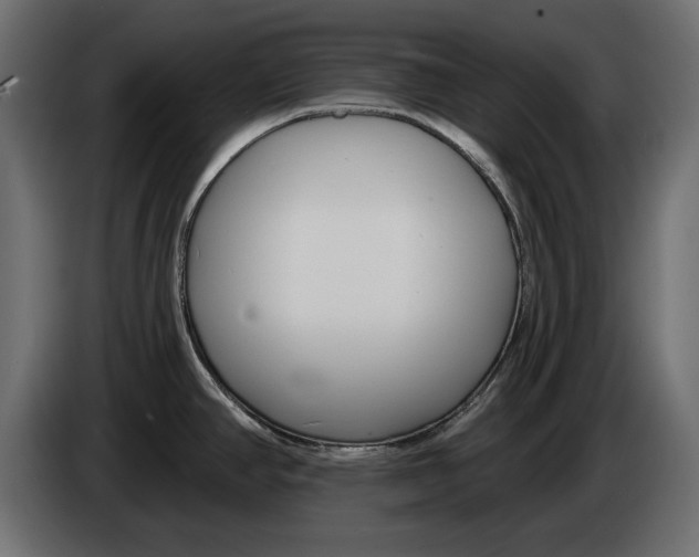X0000083071390200703022147