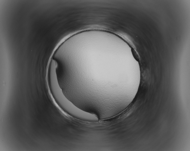 X0000083071391200703022147