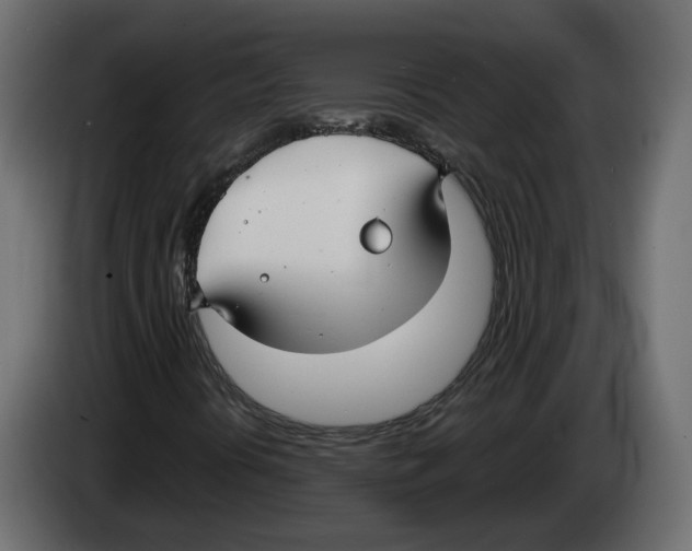 X0000083071394200703022146