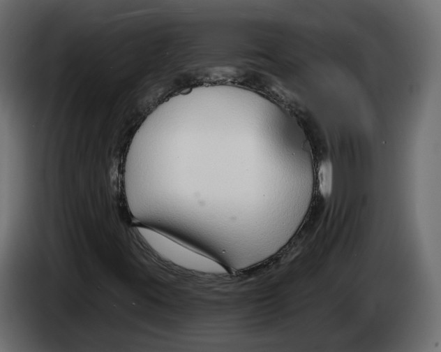 X0000083071395200703022146