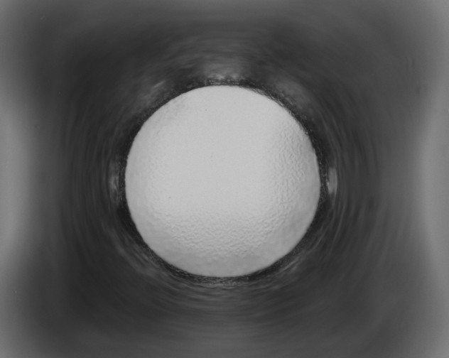 X0000083071396200703022146