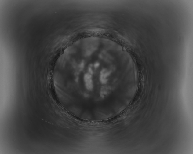 X0000083071397200703022146