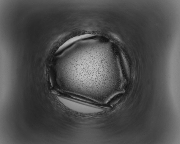 X0000083071398200703022146