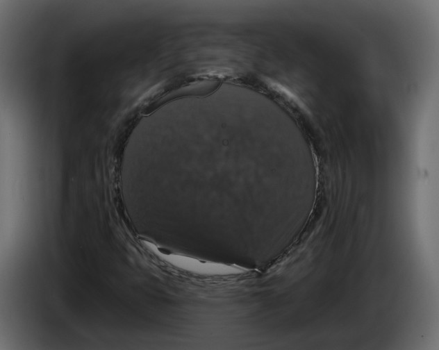 X0000083071399200703022146