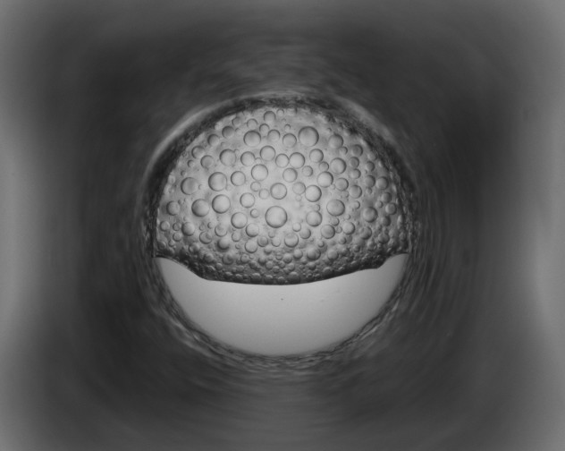 X0000083071400200703022146