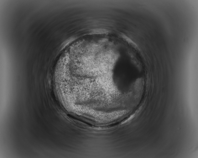 X0000083071401200703022146