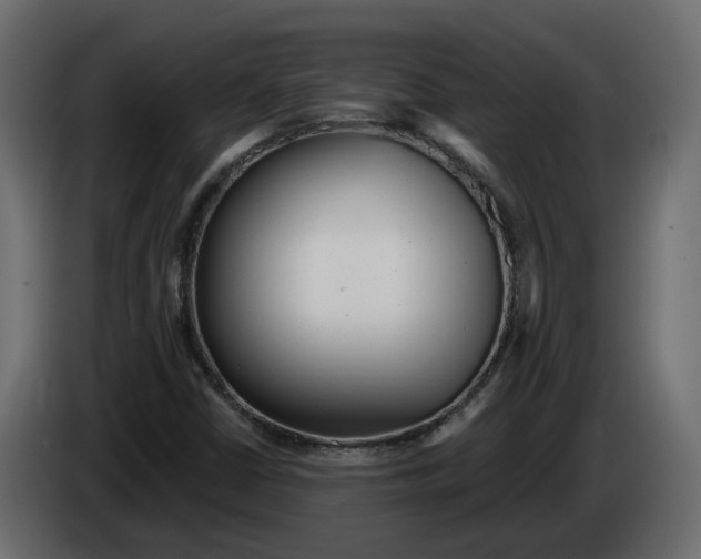 X0000083071402200703022146