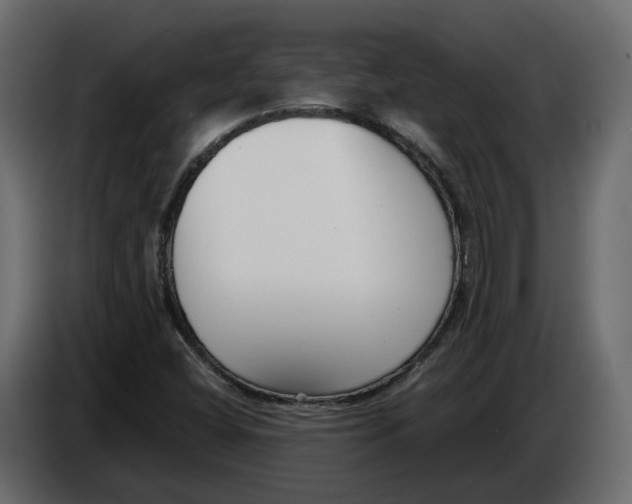 X0000083071404200703022146