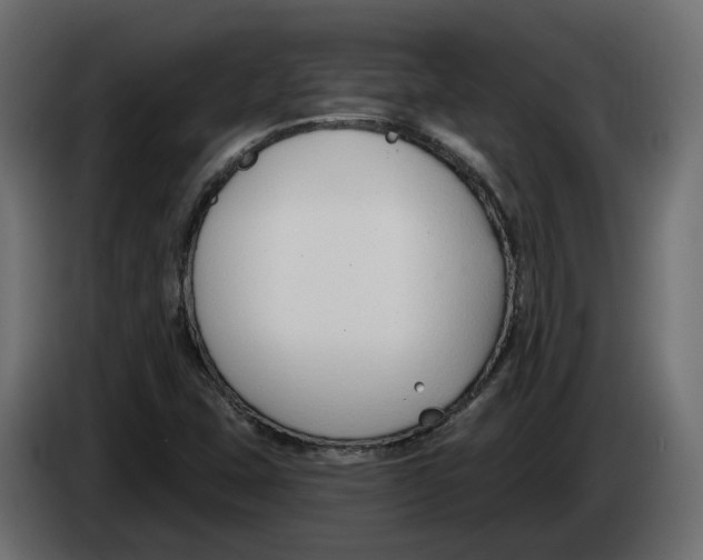 X0000083071407200703022146