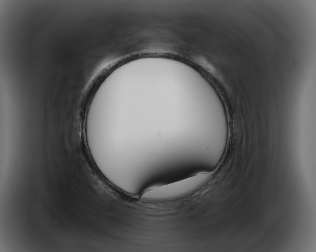 X0000083071408200703022146