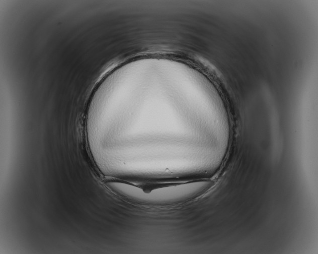 X0000083071409200703022146