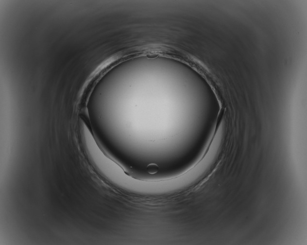 X0000083071410200703022146