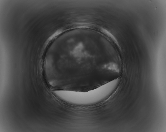 X0000083071411200703022146