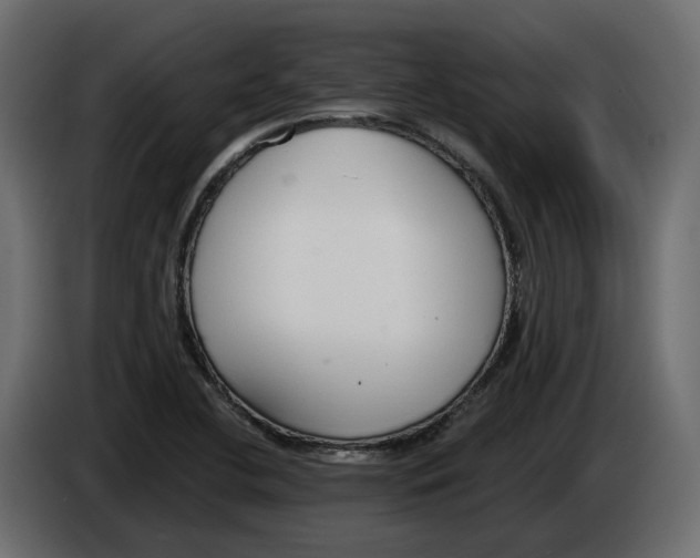 X0000083071412200703022146