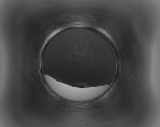 X0000083071413200703022146