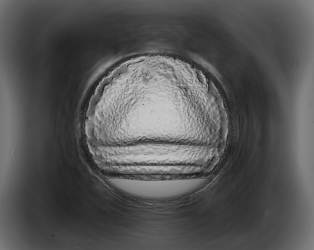 X0000083071415200703022146