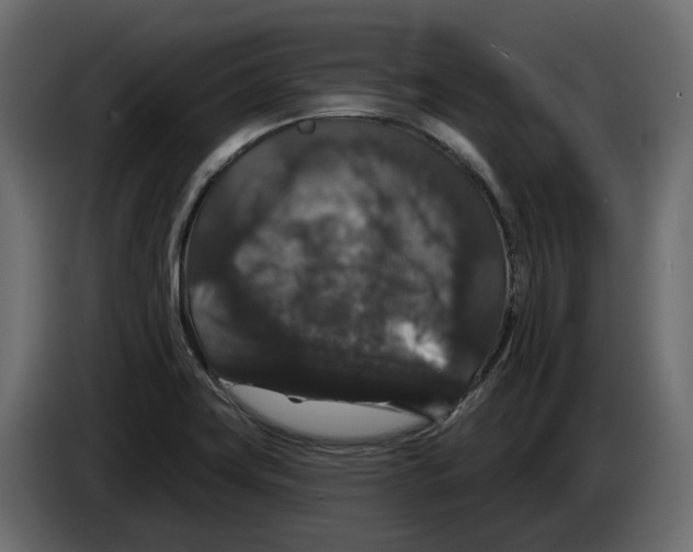X0000083071419200703022146