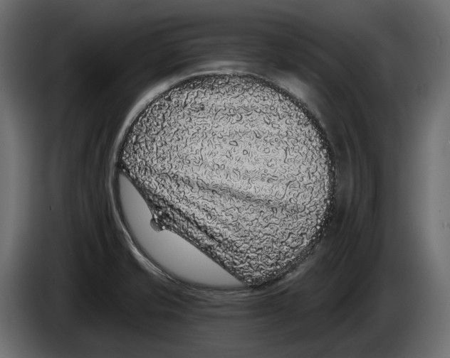 X0000083071421200703022146