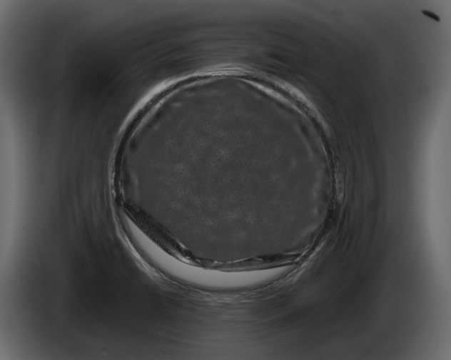 X0000083071422200703022146