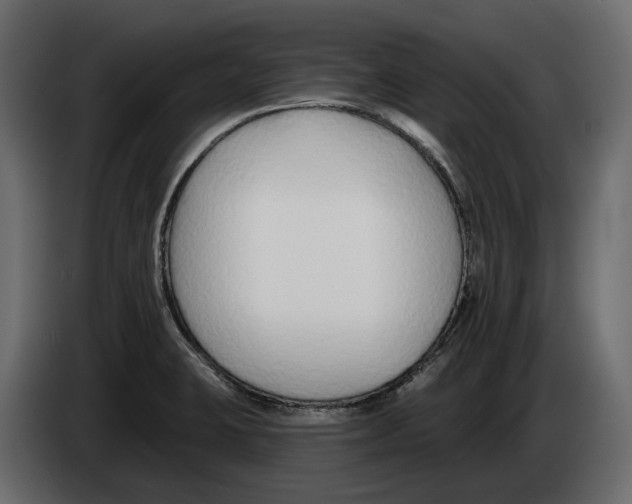X0000083071423200703022146