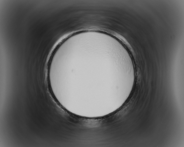 X0000083071424200703022146