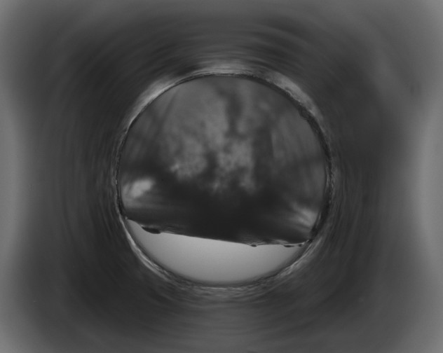 X0000083071425200703022146