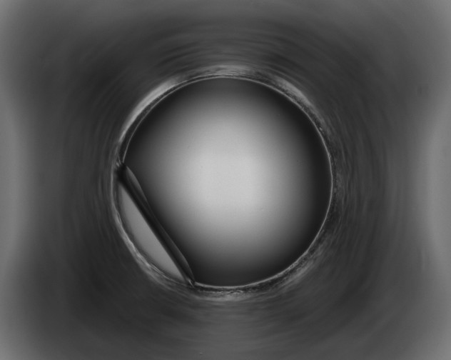 X0000083071426200703022146