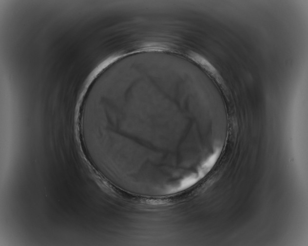 X0000083071427200703022146
