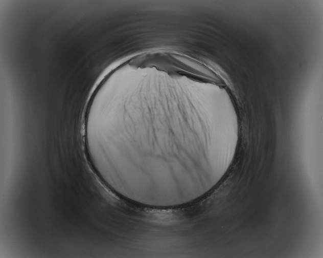 X0000083071428200703022146