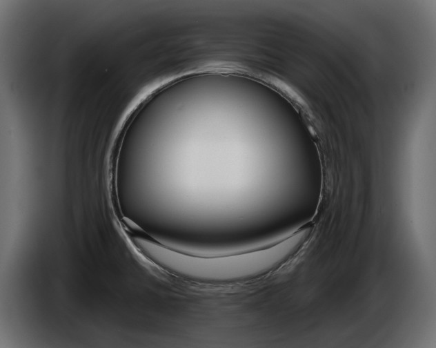 X0000083071430200703022147