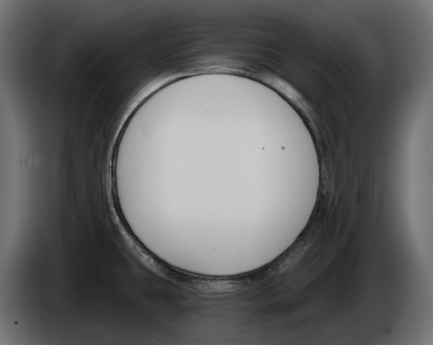 X0000083071431200703022147