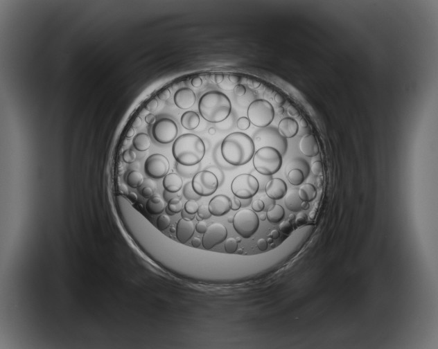 X0000083071432200703022147