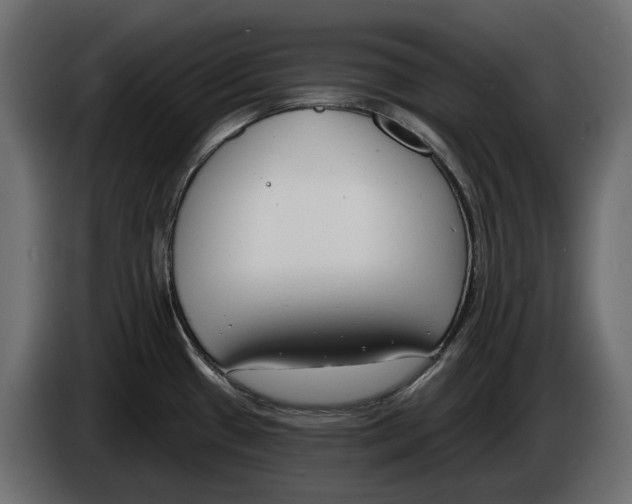 X0000083071433200703022147