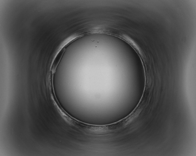 X0000083071434200703022147