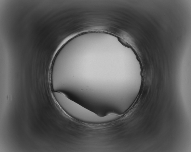 X0000083071436200703022147