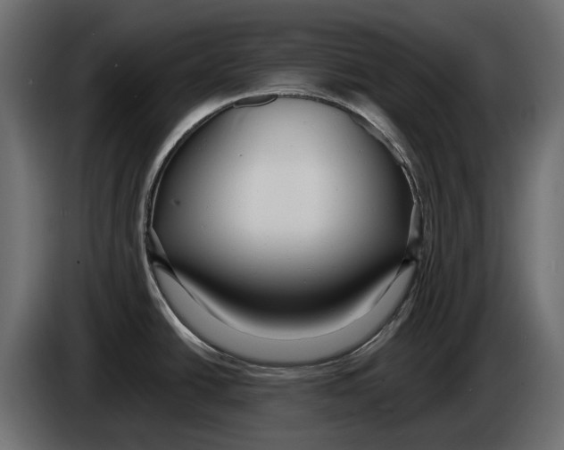 X0000083071438200703022147