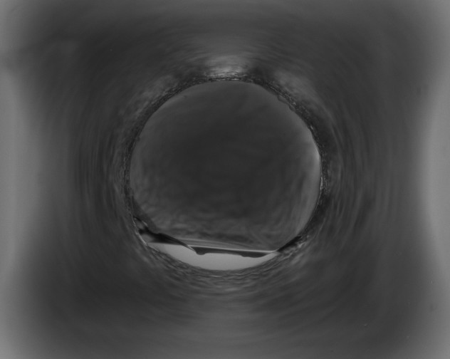 X0000083071441200703022146