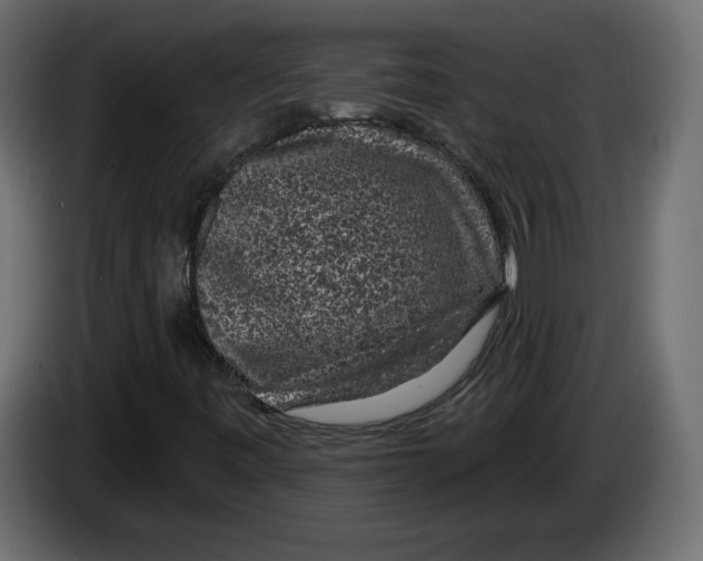 X0000083071443200703022146