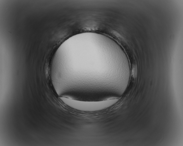 X0000083071444200703022146