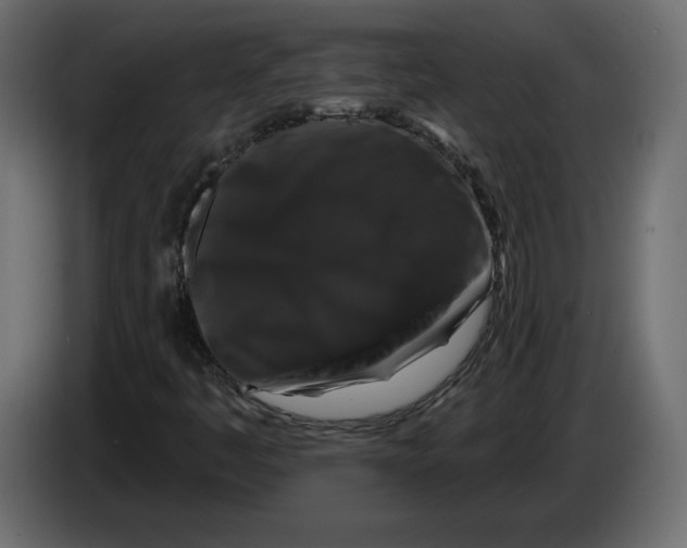 X0000083071445200703022146